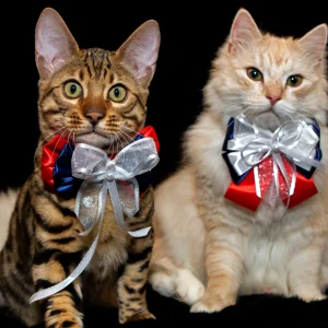 17. maj slöyfe/rosett till hund och katt