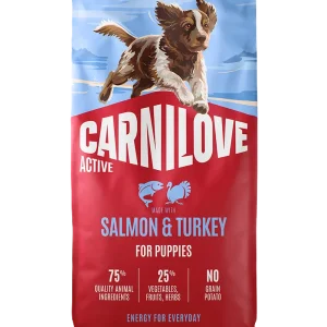 Active Dog Salmon & Turkey for Puppies