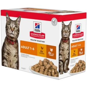 Adult Chicken Turkey Pouch - Wet Cat Food