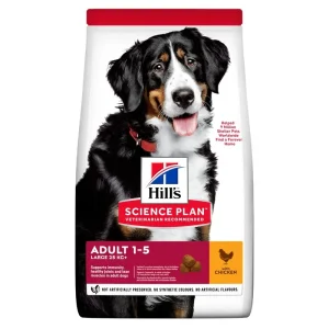 Adult Large Breed Chicken Torrfoder för hund 12kg Erbjudande