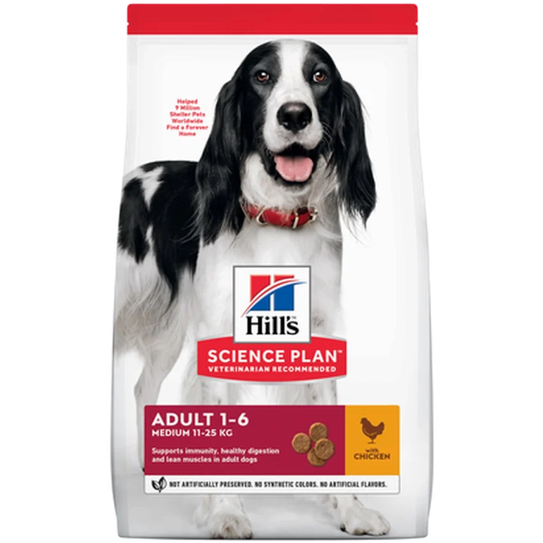 Adult Medium Chicken - Dry Dog Food