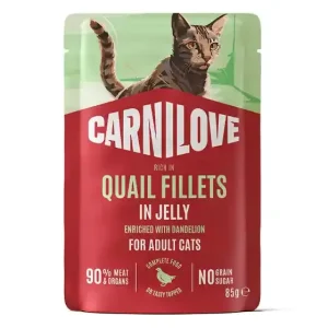 Adult Pouch Jelly med Vaktel och Maskros Våtfoder för Katt – 24 st x 85 g Rabatter