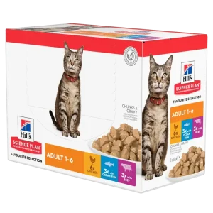 Adult våtfoder med kyckling, nötkött och havsfisk för katt – 12 x 85 g Nyhet