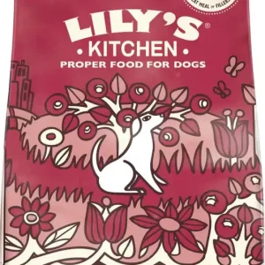 Adult Wild Woodland Walk, Duck, Salmon & Venison Torrfoder för Hund – 2,5 kg Beställ idag