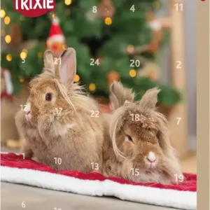 Adventskalender Gnagare
