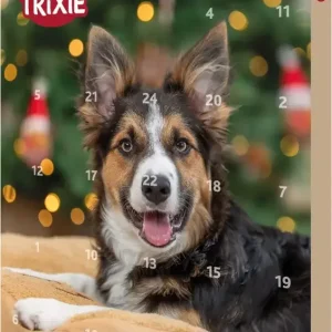 Adventskalender Hund