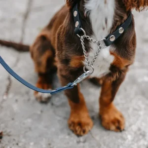 Agda halvstryp halsband med kedja