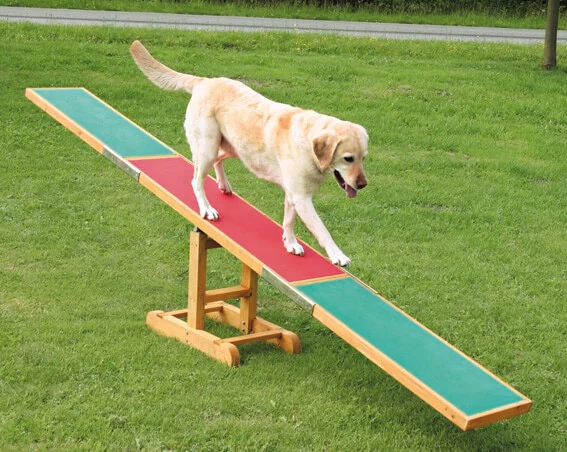 Agility Gungbräda i Trä 300x34x54cm