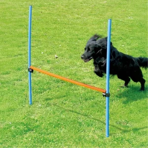 Agility Hinder