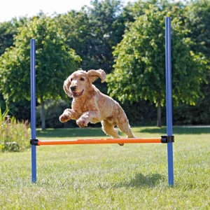 Agility Hopphinder