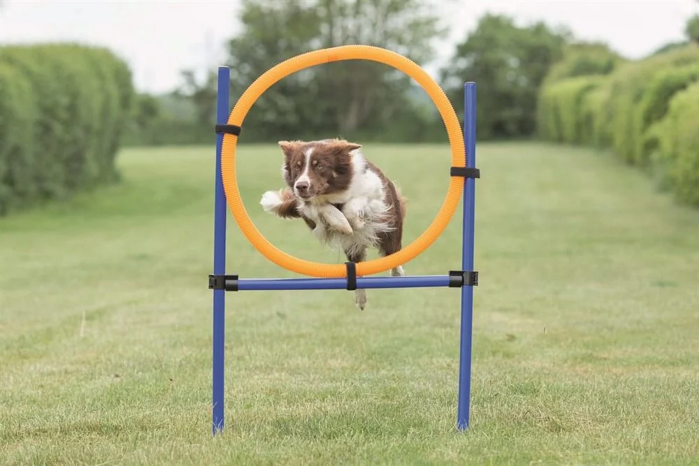 Agility Hoppring 65cm