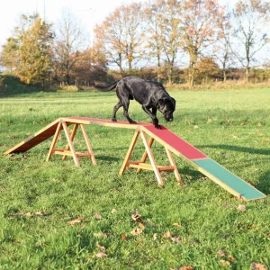 Agility Ramp 456 cm
