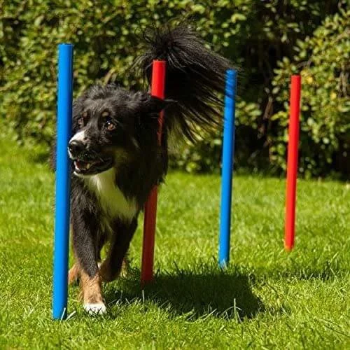 Agility Set K2 7 Delar - Image 2