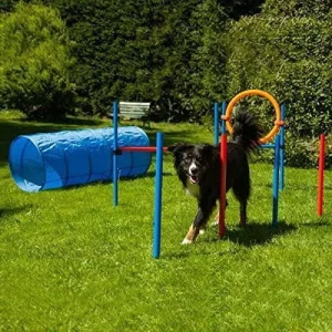 Agility Set K2 7 Delar