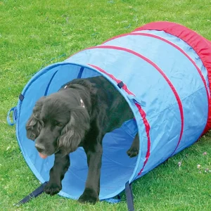 Agility Tunnel 5 M 60cm