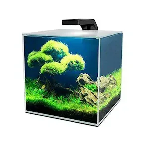 Akvarium Cube 10 Clear Ciano