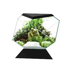 Akvarium Nexus Bettalife Svart Ciano