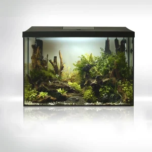 Akvarium Set Leddy XL 72L