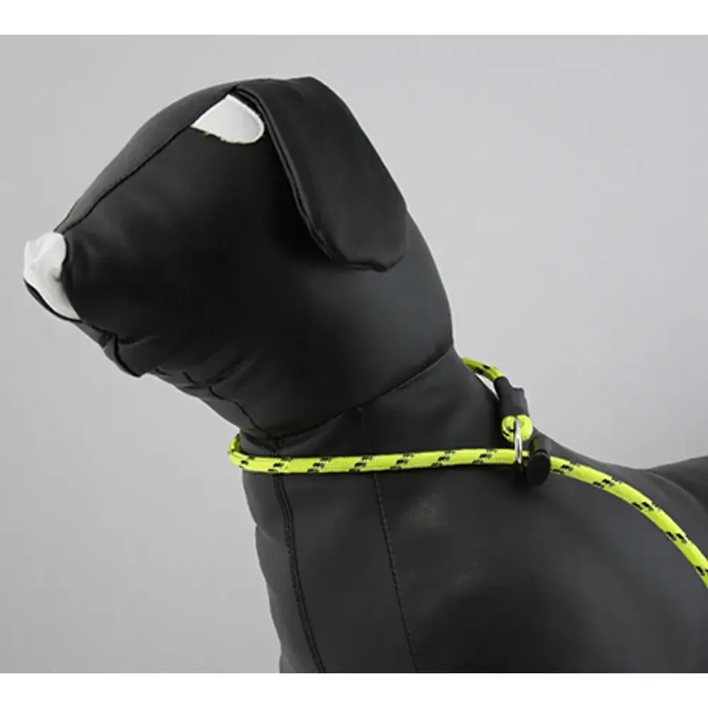 Alac Retrieverkoppel Gul med Reflex 6mm x 190cm