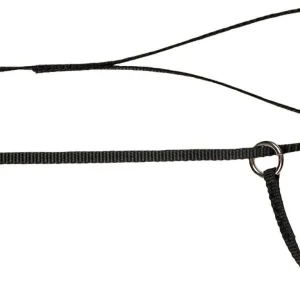 Alac Utställning Svart 6x150