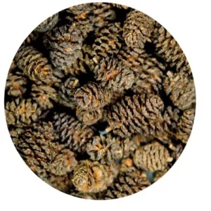 Alkottar 50p