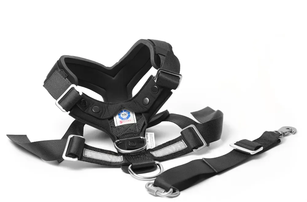 Allsafe Harness Bilsele S Rea