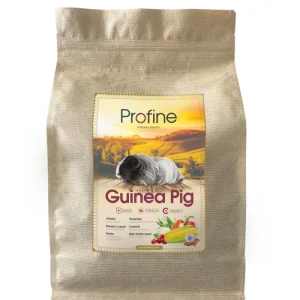 Animals Guinea Pig 1,5kg