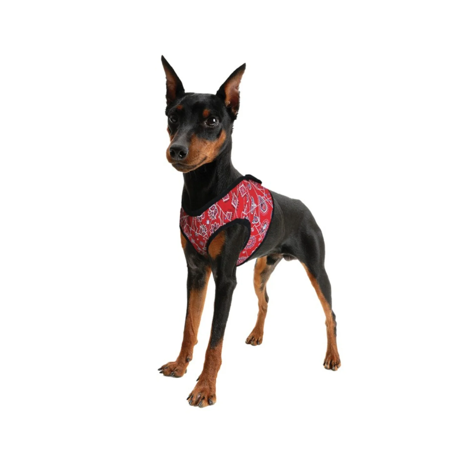 Aqua Coolkeeper Comfy Harness