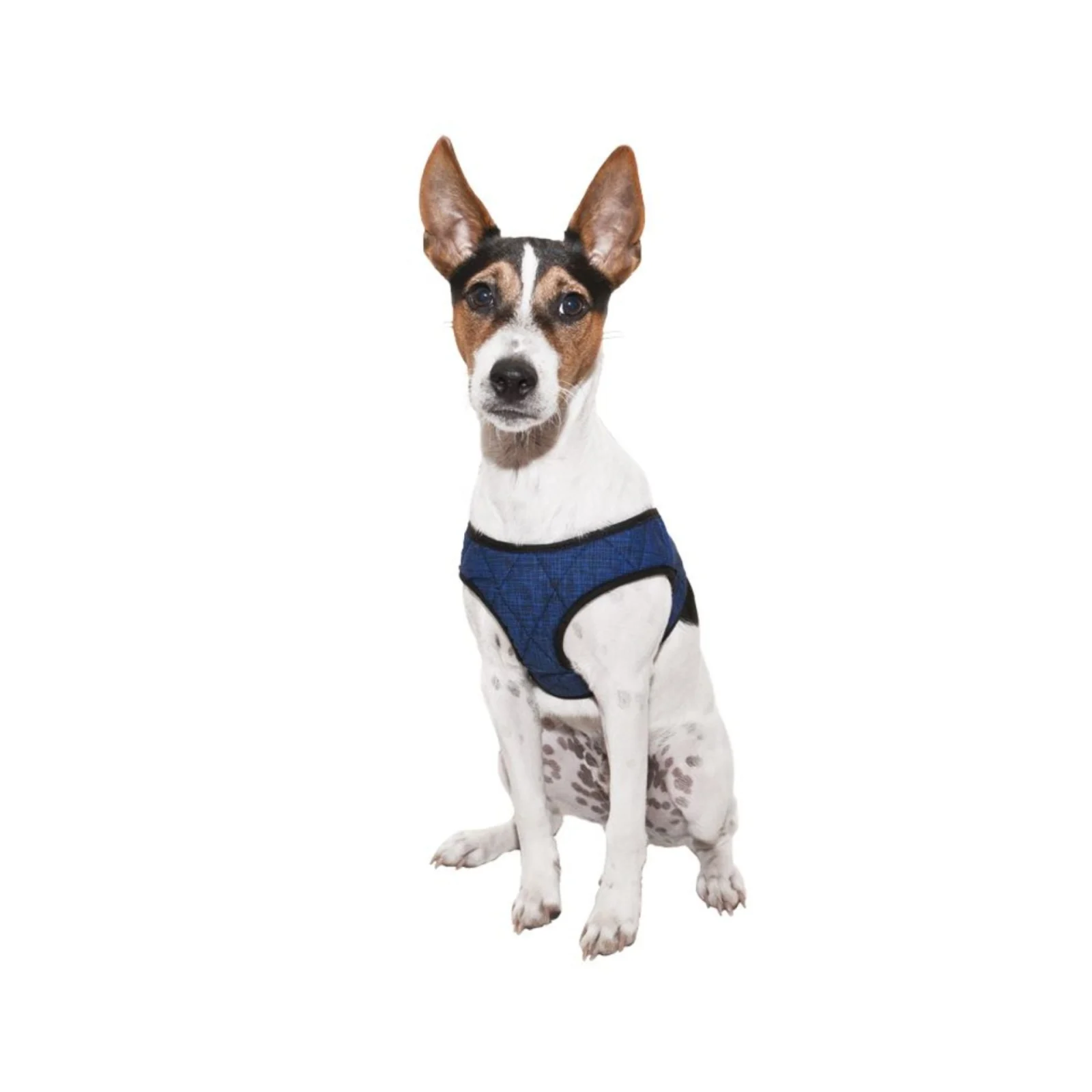 Aqua Coolkeeper Comfy Harness - Image 2