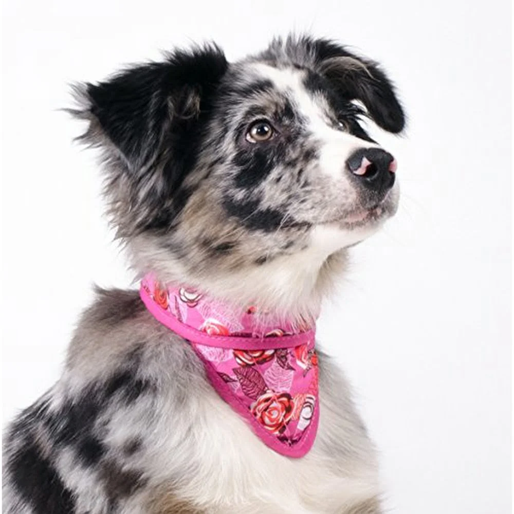 Aqua Coolkeeper kylbandana