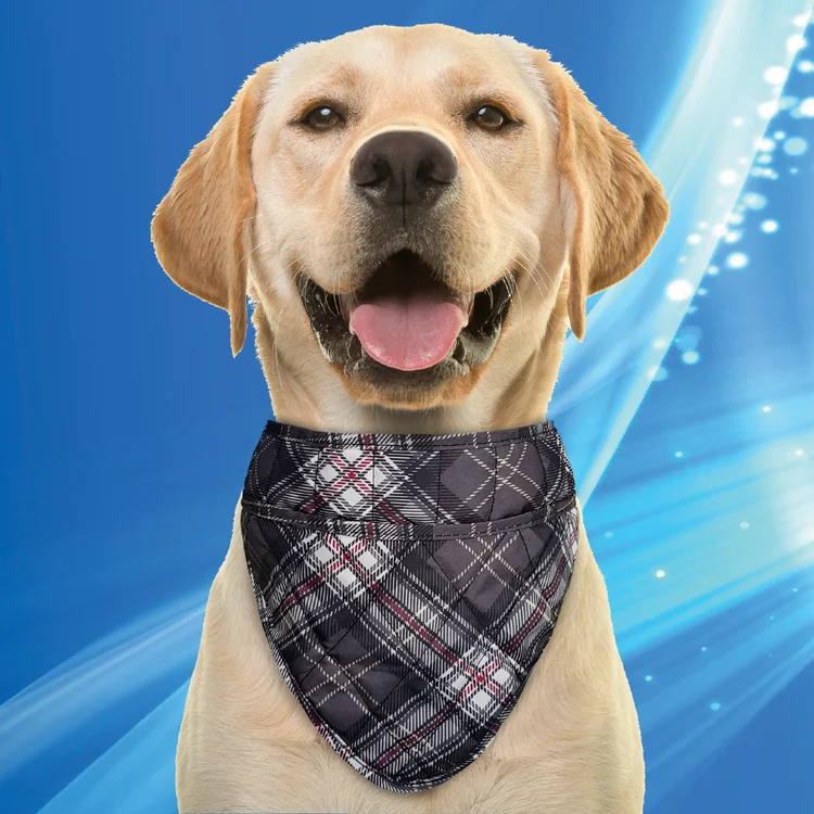 Aqua Coolkeeper kylbandana - Image 2
