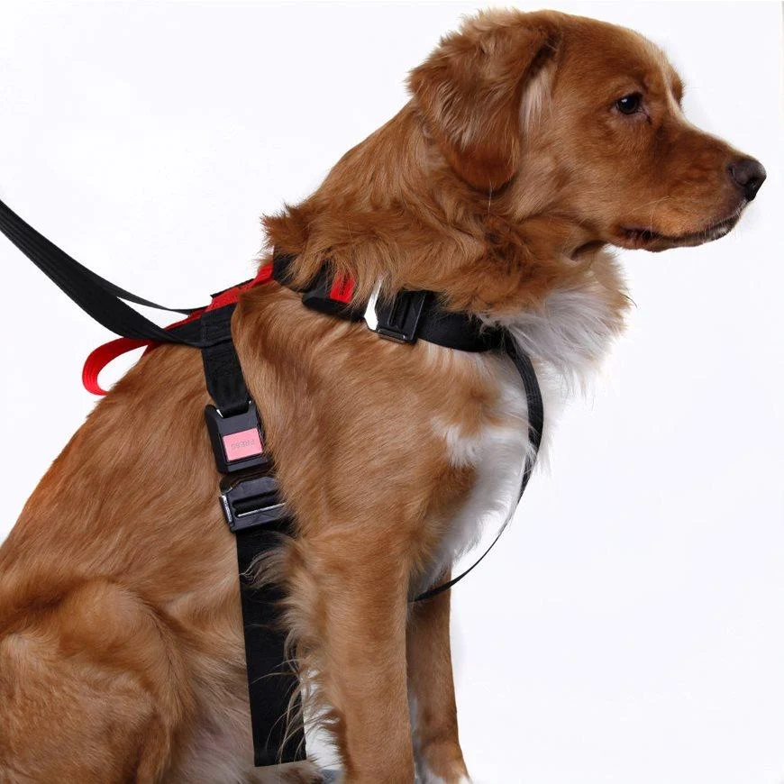 Artfex Dog harness Bilsele Medium