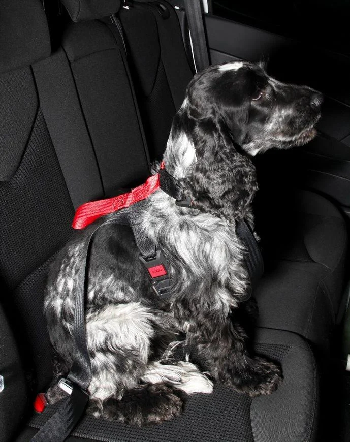 Artfex Dog harness Bilsele Medium - Image 2