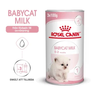 Babycat Milk Starter Mj枚lkers盲ttning f枚r katt