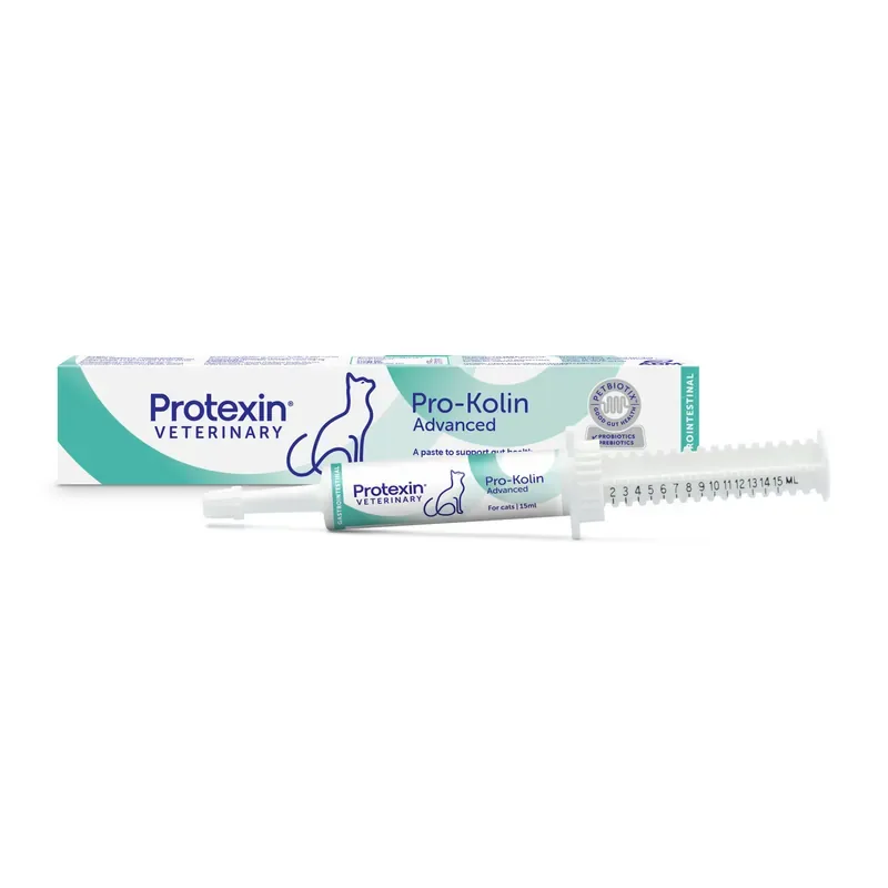 Beställ idag Pro-Kolin Advanced Cat – 15 ml