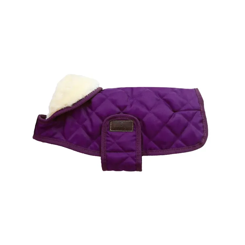 Beställ nu Kentucky Hundtäcke Original Royal Purple