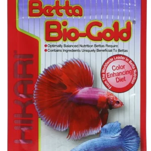 Betta Gold Kampfisk 20g