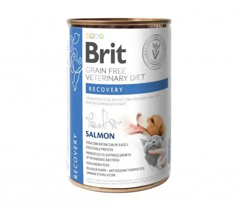 Billigare Brit Recovery Salmon Hund & Katt 6 x400 g
