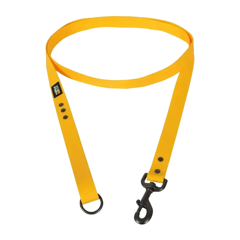 Biodipro Leash Apricot