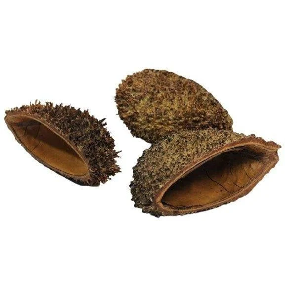Bolsa Pod 8–12 cm - Image 2