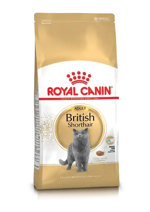 British Shorthair Adult Torrfoder för Katt – 2 kg Endast denna vecka