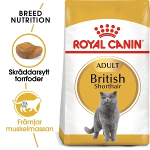 British Shorthair Adult Torrfoder f枚r katt