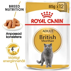 British Shorthair Adult V氓tfoder f枚r katt