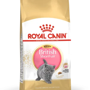 British Shorthair Kitten Torrfoder f枚r katt 2kg