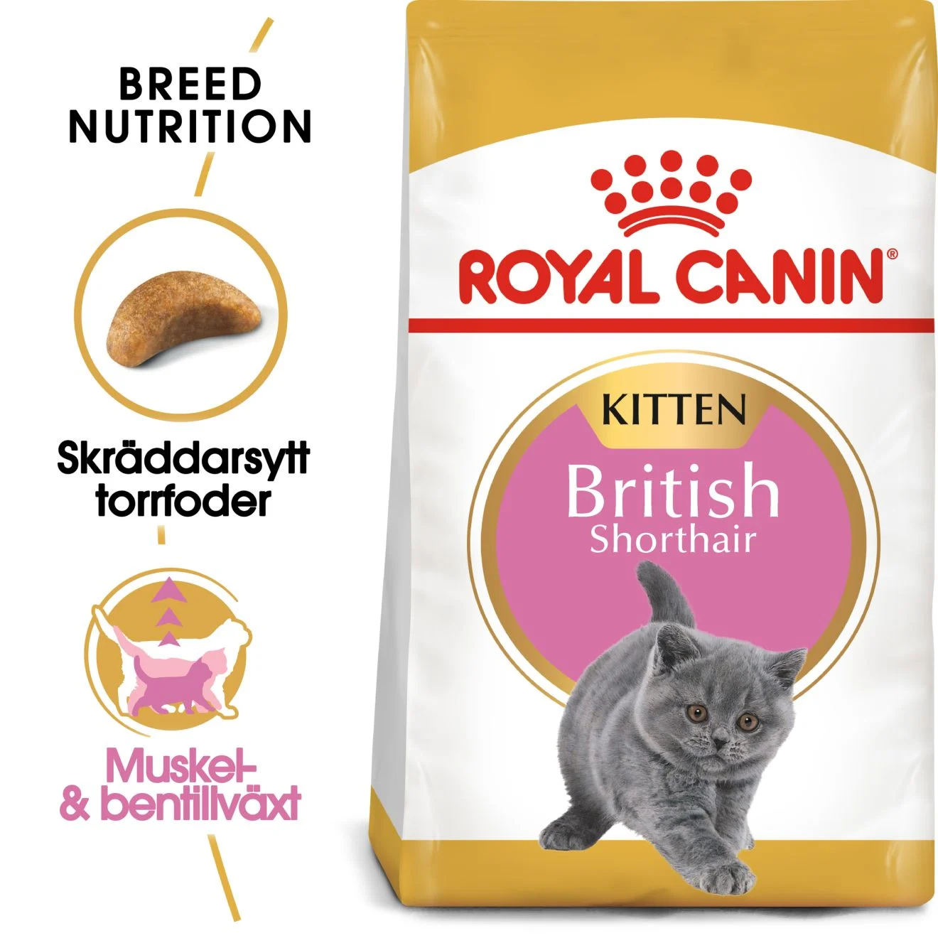 British Shorthair Kitten Torrfoder f枚r kattunge