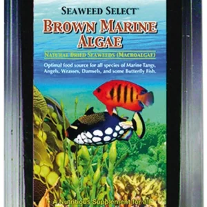 Brown Marine Algae 12g