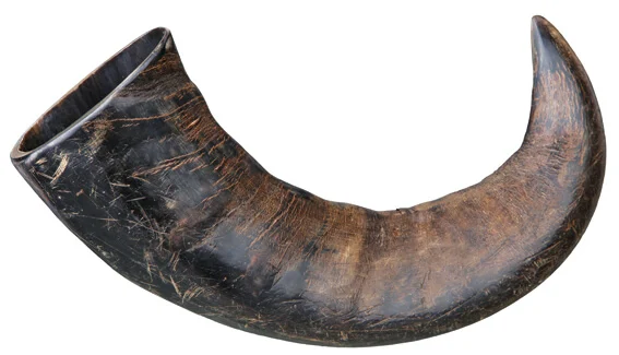 Buffelhorn L