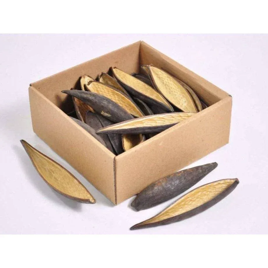 Canoinhas Pod 10–14 cm