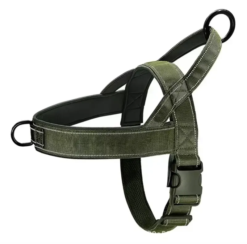 Casual sele – Skog