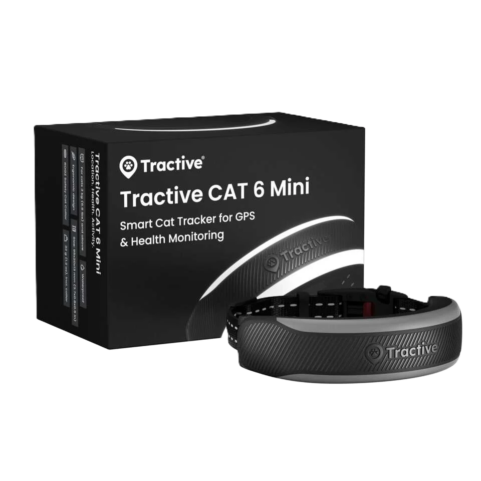 CAT 6 Mini GPS